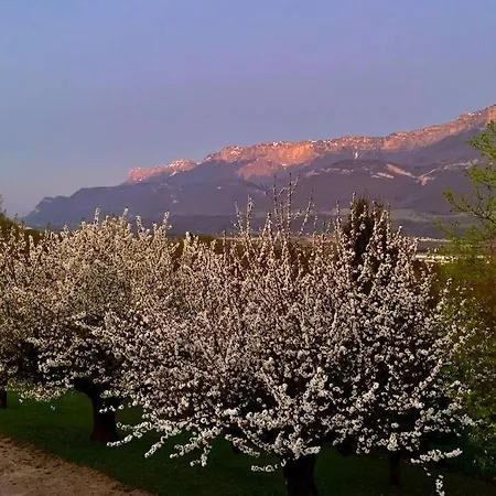 Au Calme Avec Vue Magnifique A Maximin 公寓 Saint-Maximin (Isere)